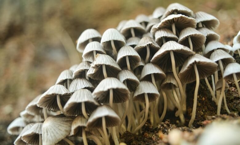 small cap stocks profits