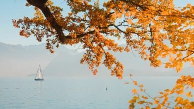 mario lopez legal case