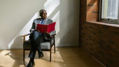 business intelligence overview summary