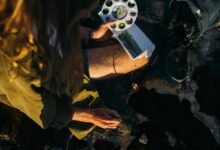 commercial landscape analysis brief