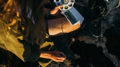 commercial landscape analysis brief