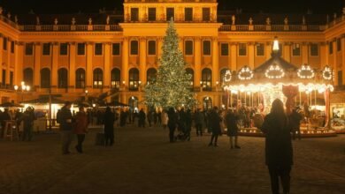 market insight architecture overview