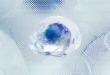 market intelligence dynamics overview