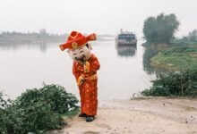 organisational performance signal ledger