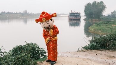 organisational performance signal ledger