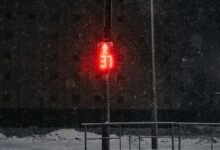 signal analysis for businesses