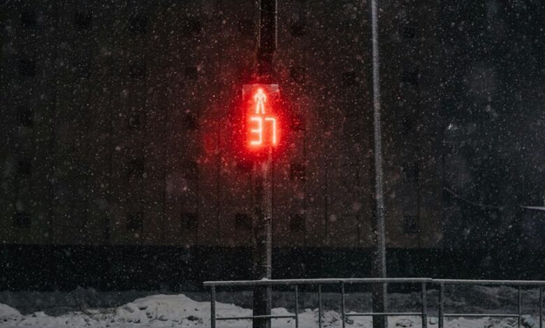 signal analysis for businesses