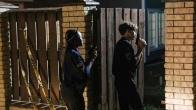 caller investigation summary alerts