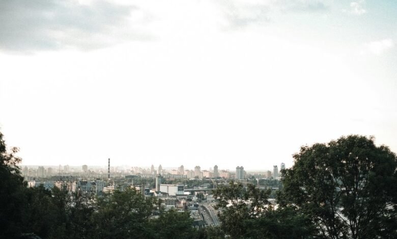 digital growth opportunity ahead