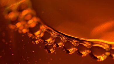 fusion wave digital radius