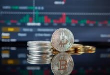 market growth and development