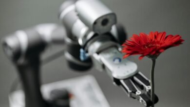 tactical vision for growth